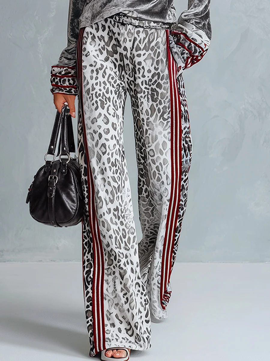 Mercedes | Conjunto de Top de Terciopelo Plateado y Pantalón de Leopardo